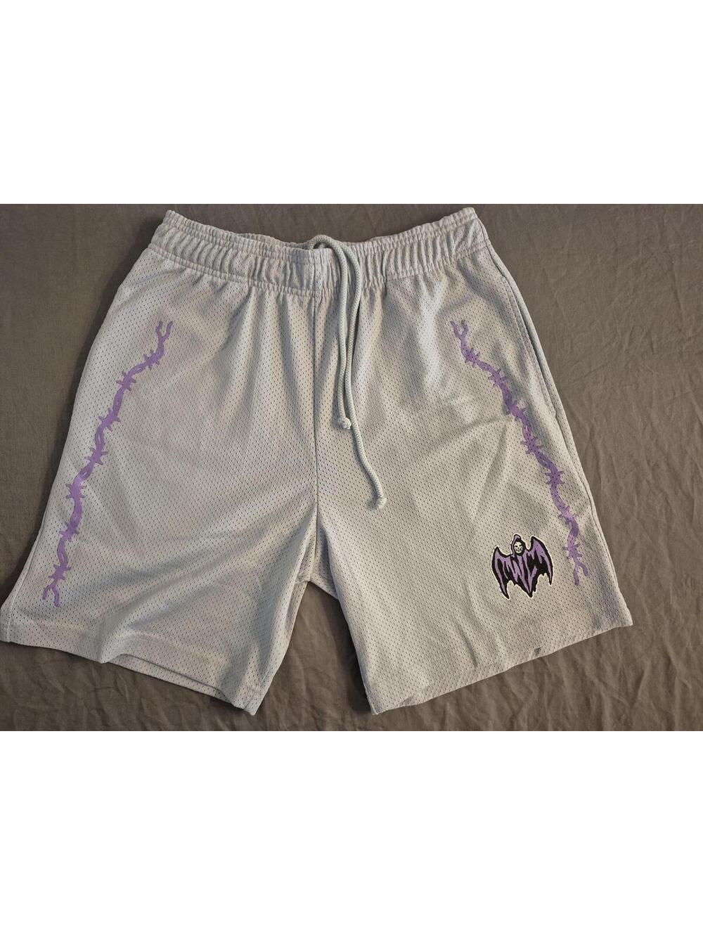 Warren Lotas Light Blue Mesh Shorts Size Small